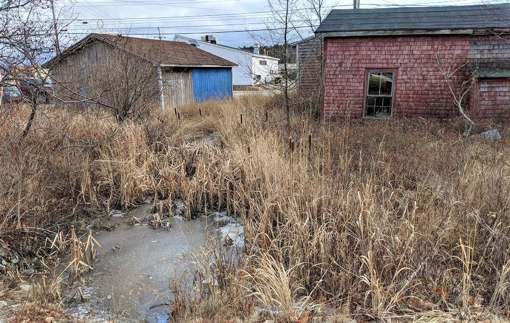 Environmental Site Assessments photo of marshy area behind old run down building