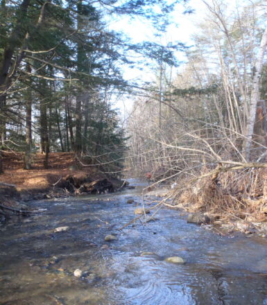 photo of a stream in the maine woods