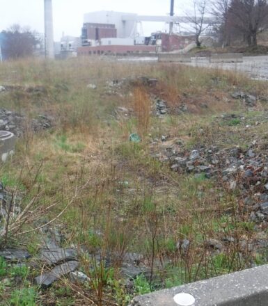 photo of scrub area outside industrial mill