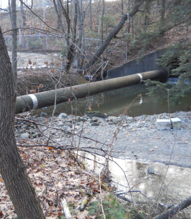 photo of a pipe going under a support bridge along a stream in the woods