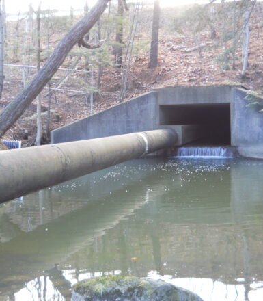photo of a pipe going under a support bridge along a stream in the woods