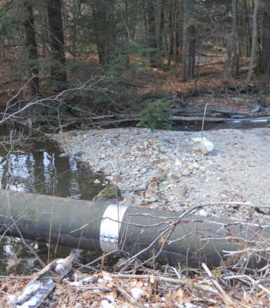 photo of a pipe in front of a stream in the forest