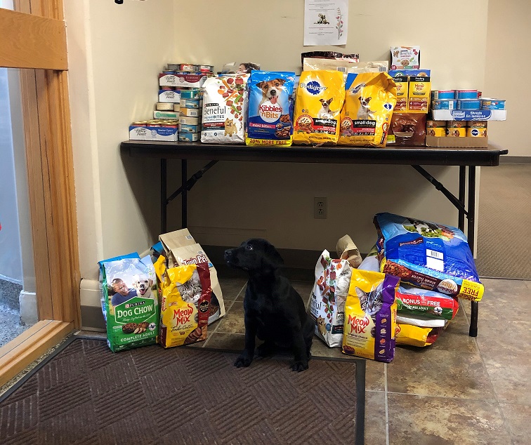 Community Support photo of a black lab puppy sitting in front of dog and cat food stacked on and under a table