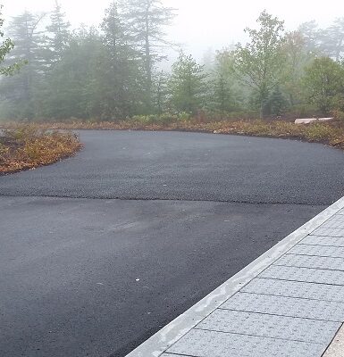 photo of a paved road through the foggy woods